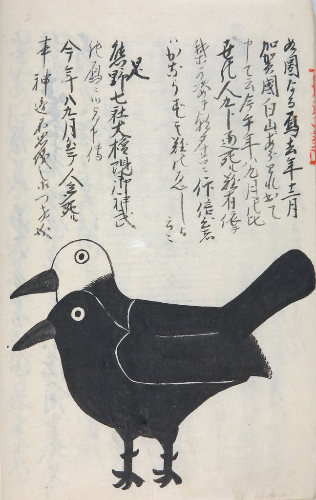 The Prophet Bird and Dr. Fauci in Early 19th Century Japan